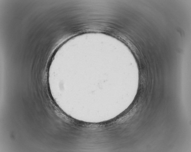X0000111450779200908241204
