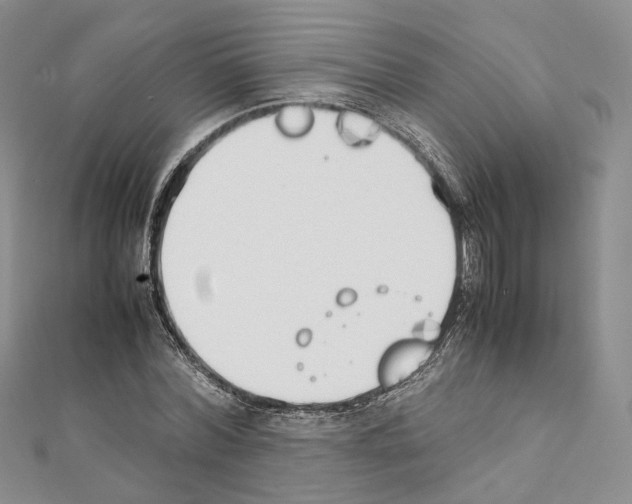 X0000111450780200908241204