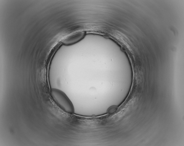 X0000111450781200908241204