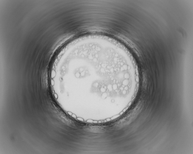 X0000111450782200908241204