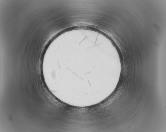 X0000111450783200908241204