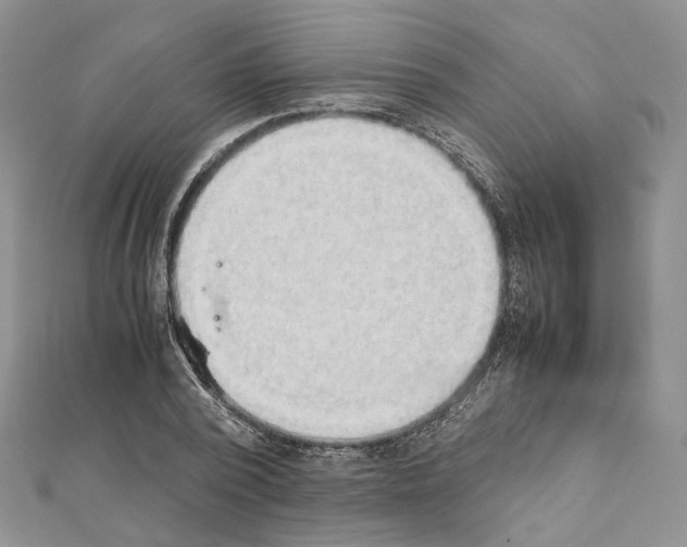 X0000111450784200908241204