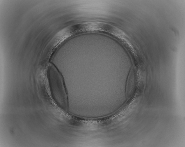 X0000111450785200908241204