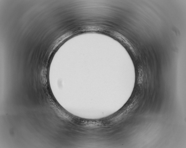 X0000111450786200908241204