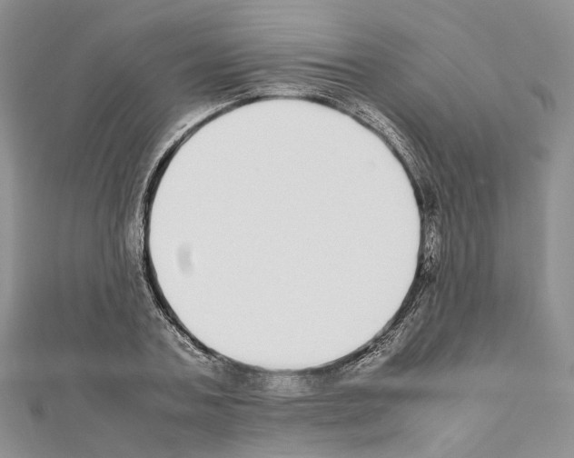 X0000111450787200908241204
