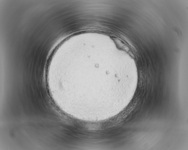 X0000111450788200908241204