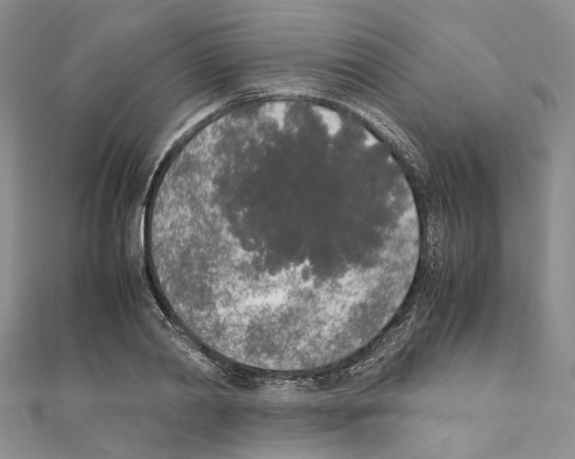 X0000111450790200908241204