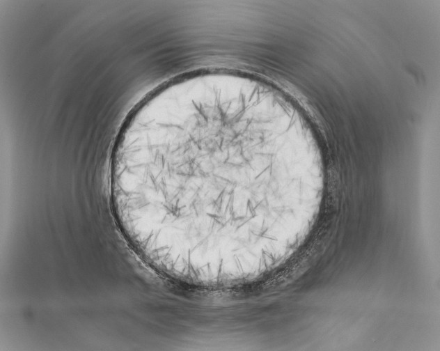 X0000111450791200908241204