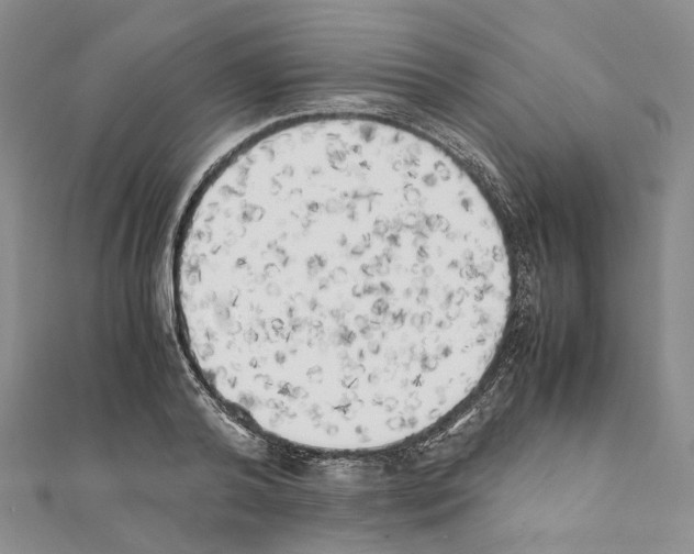 X0000111450792200908241204
