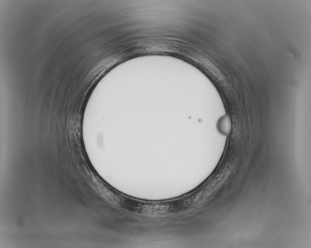 X0000111450793200908241204