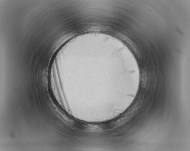X0000111450794200908241204