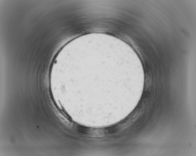 X0000111450795200908241204