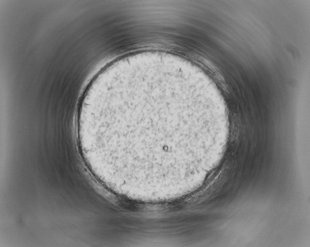 X0000111450796200908241204