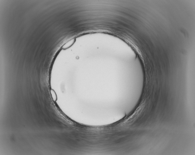 X0000111450797200908241204