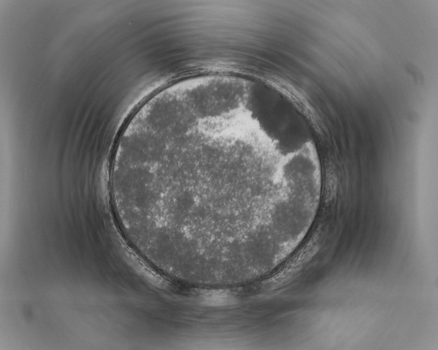 X0000111450798200908241204