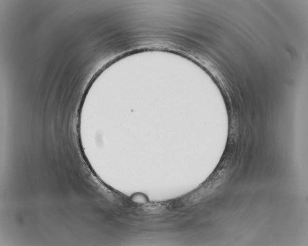 X0000111450799200908241204