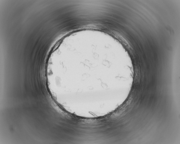 X0000111450800200908241204