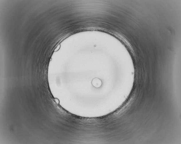 X0000111450801200908241204
