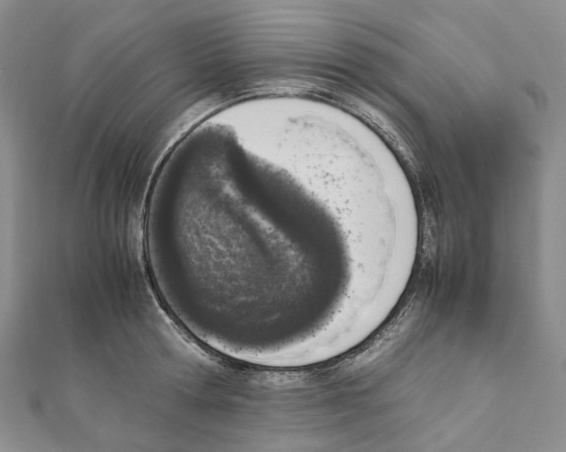 X0000111450802200908241204