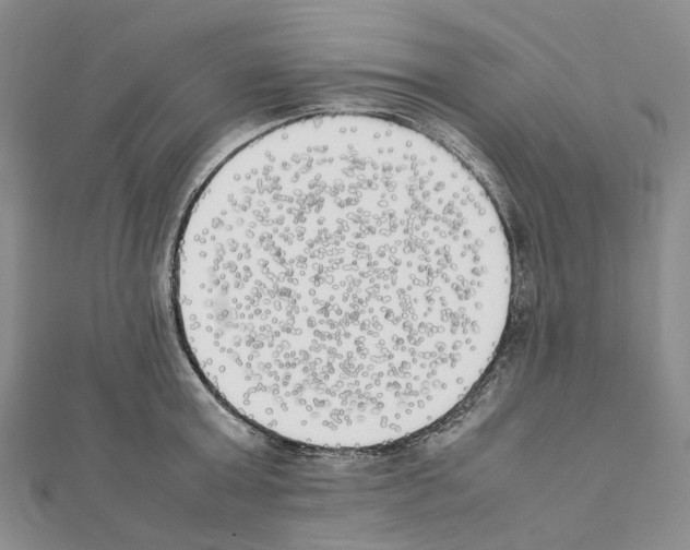 X0000111450803200908241204