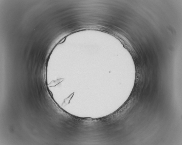 X0000111450804200908241204