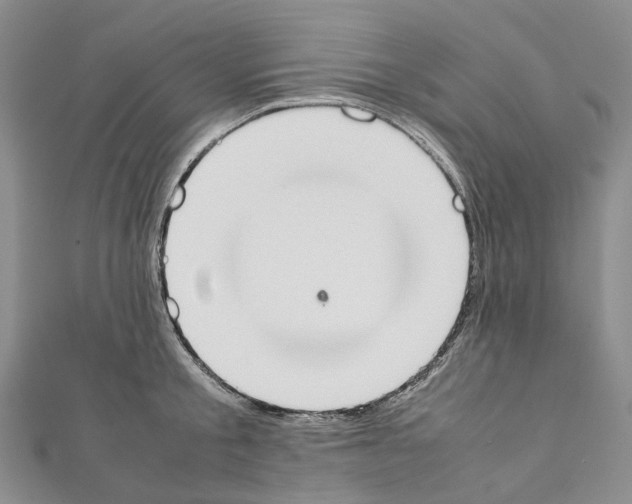 X0000111450805200908241204
