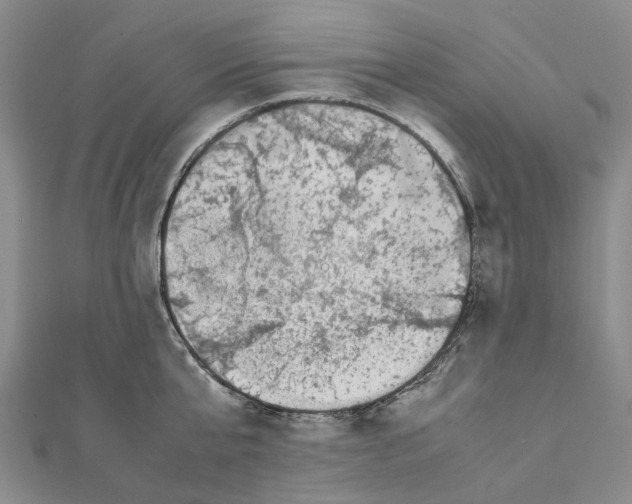 X0000111450807200908241204
