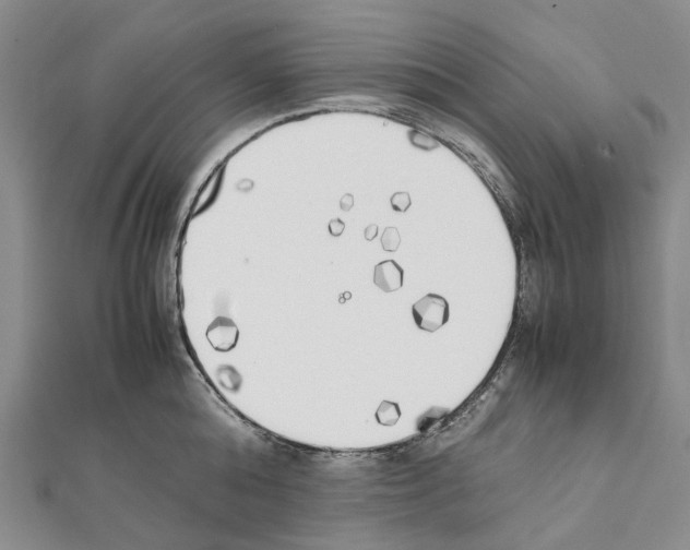 X0000111450808200908241204