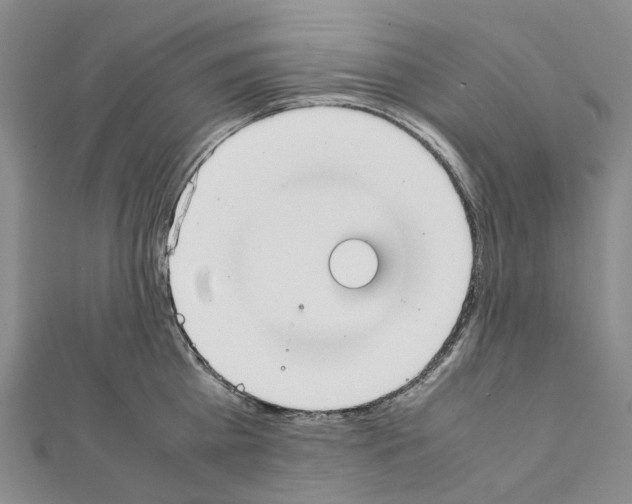 X0000111450809200908241204