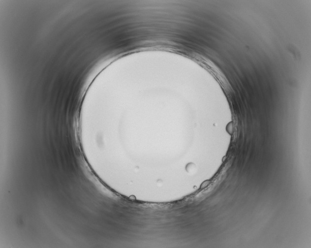 X0000111450812200908241204
