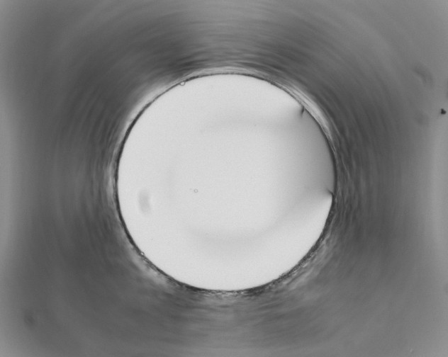 X0000111450813200908241204