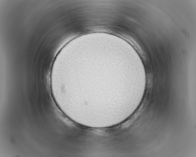 X0000111450814200908241204