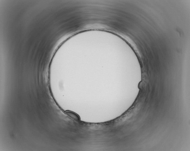 X0000111450815200908241204