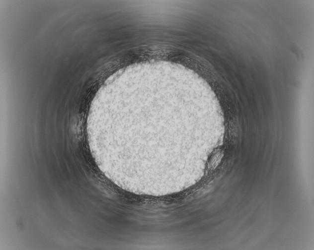 X0000111450818200908241203