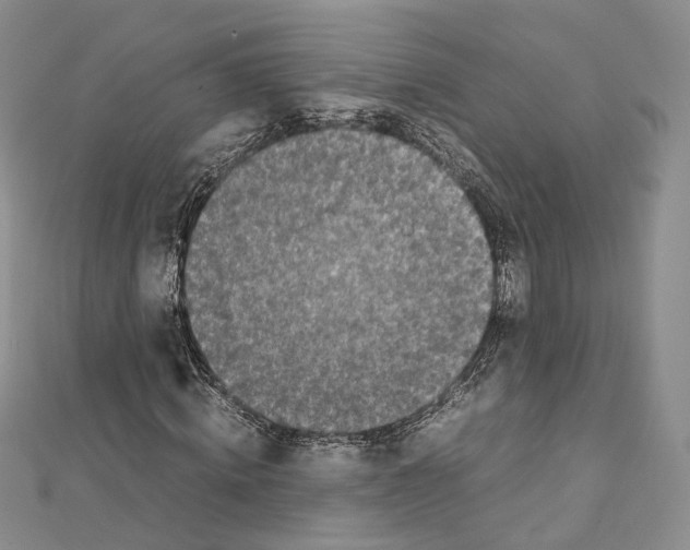 X0000111450820200908241203