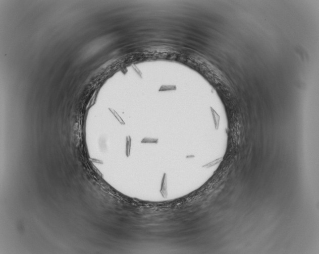 X0000111450821200908241203