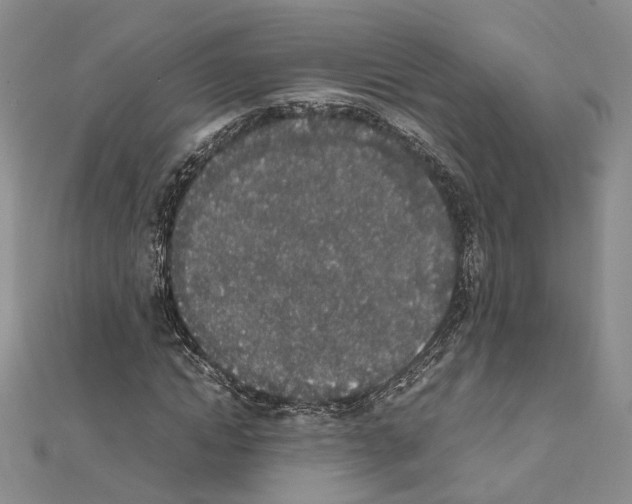 X0000111450822200908241203