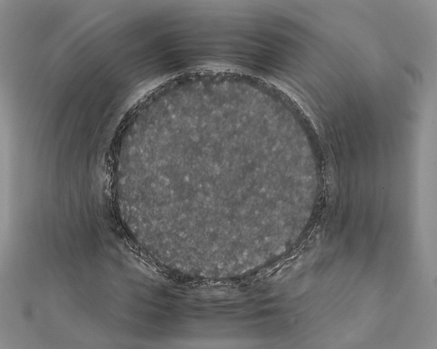 X0000111450823200908241203
