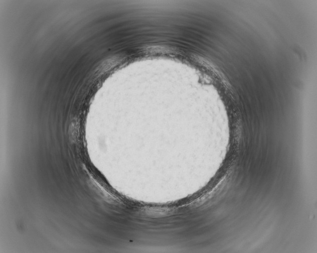 X0000111450825200908241203