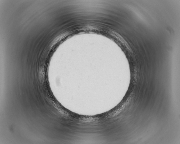 X0000111450826200908241203