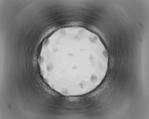 X0000111450827200908241204