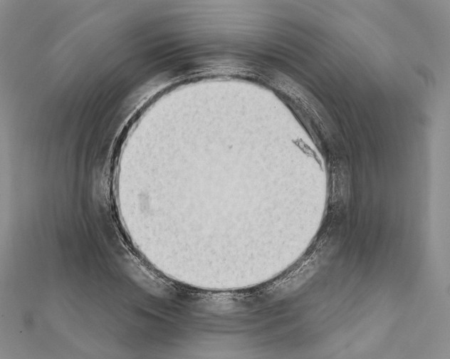 X0000111450828200908241204