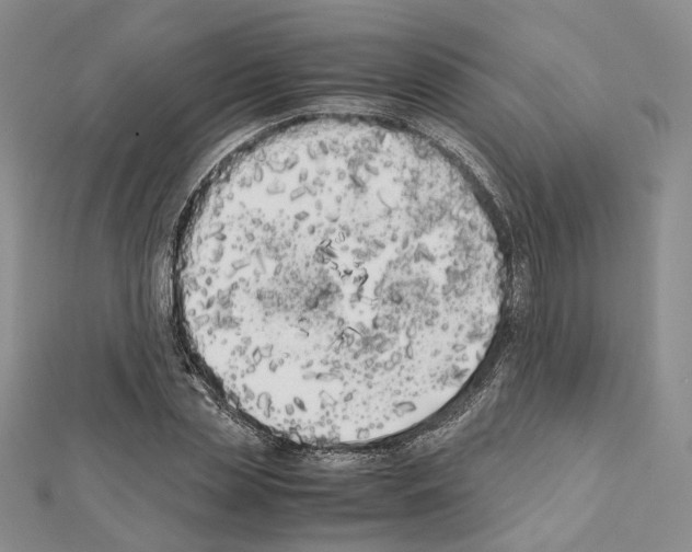 X0000111450829200908241204