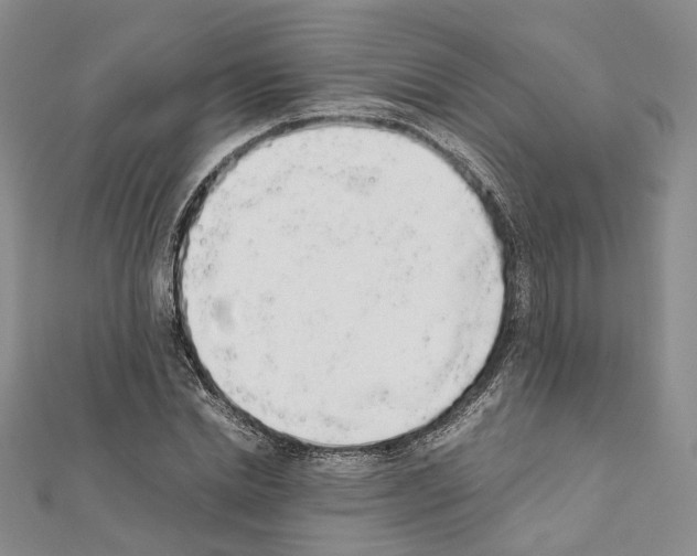 X0000111450830200908241204