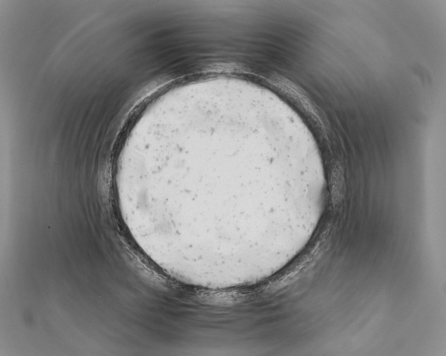 X0000111450831200908241204