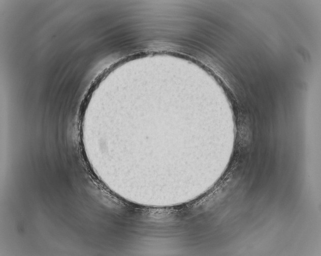 X0000111450832200908241204
