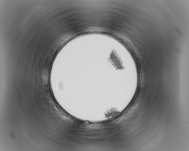 X0000111450833200908241204