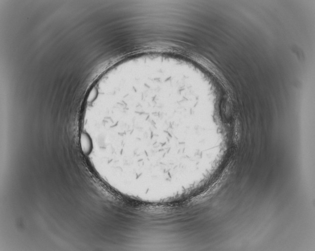 X0000111450834200908241204