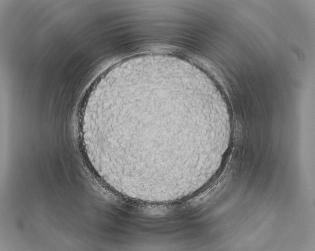 X0000111450835200908241204