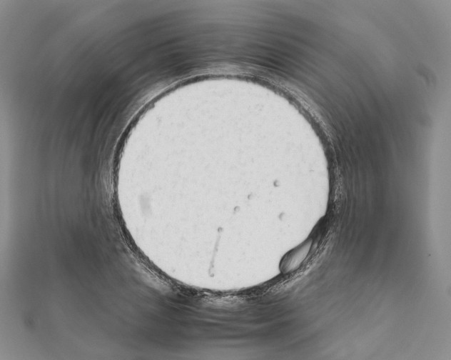 X0000111450837200908241204